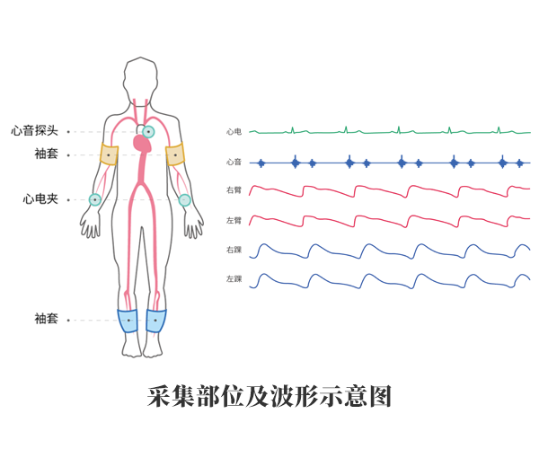 動(dòng)脈硬化檢測(cè)儀產(chǎn)品應(yīng)用